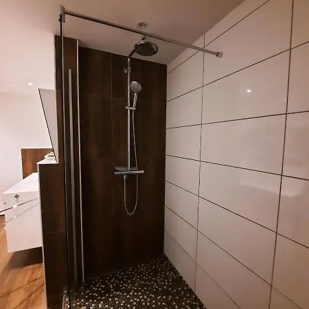 Full Flat 3 Bedrooms Saarbrucken Center -11 People Eksteriør billede
