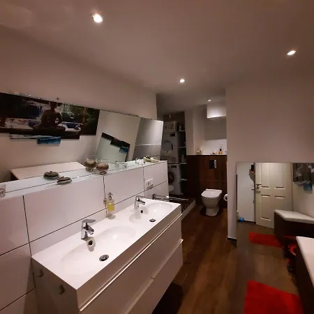 Full Flat 3 Bedrooms Saarbrucken Center -11 People Eksteriør billede